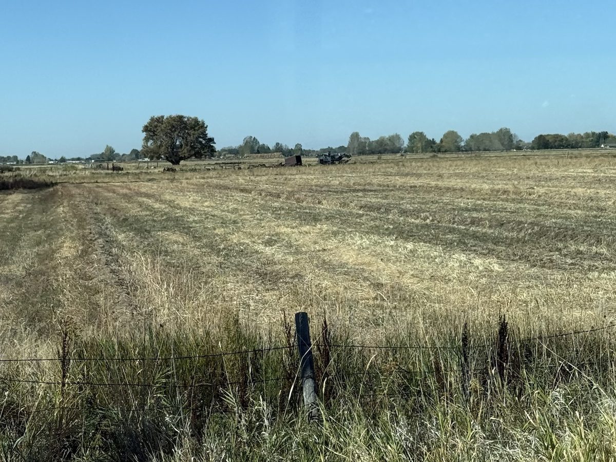 The same 5-acre field after mowing, cut down to the fence line
