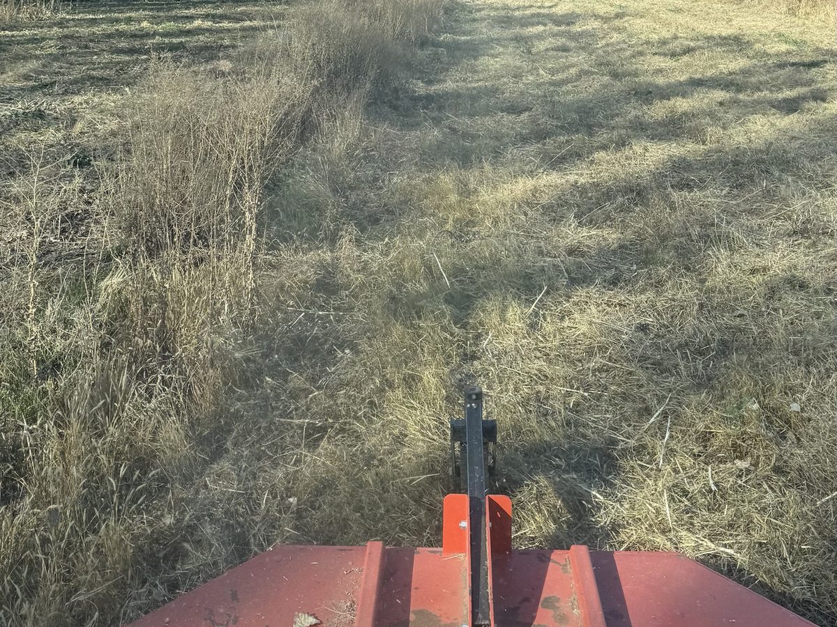 Brush hog mowing a weedy 5-acre field, cut strip next to the uncut weeds