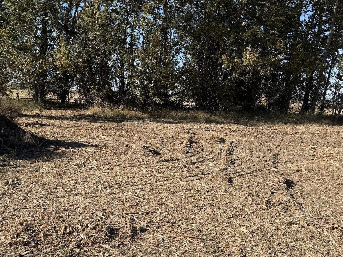 After: the same spot mulched in place and left level
