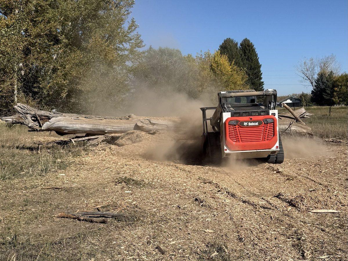 Forestry mulcher working through dead cottonwood logs and deadfall
