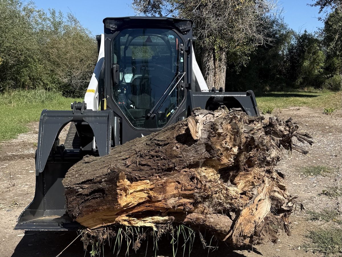 Stump and root ball pulled out with the skid steer and grapple